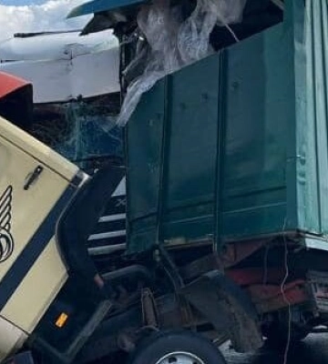 77-річний водій Мерседеса помер на місці: подробиці смертельної ДТП на Львівщині