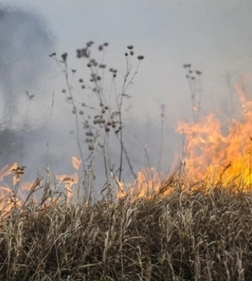 Росіяни почали підпалювати мінні поля - ЗМІ