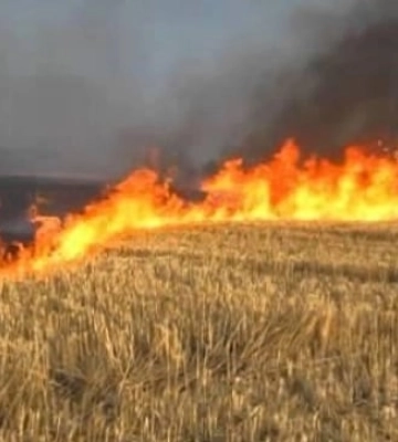 Россияне в Запорожской области поджигают минные поля — СМИ