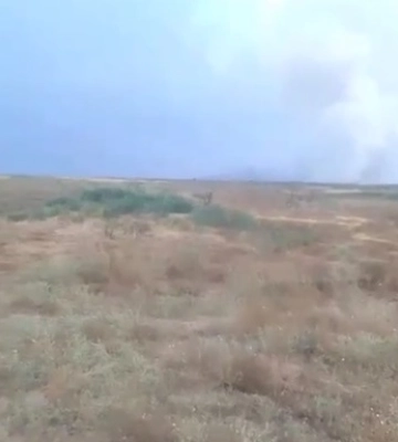 Пожар в заповеднике &quot;Аскания-Нова&quot;: огонь охватил 7 гектаров территории