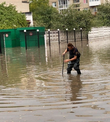 Сховався від грози: в Струмівці собака вліз в авто і не впускав господаря 