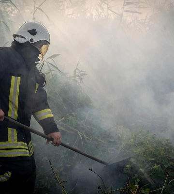 На Одещині за тиждень вогонь знищив 95 гектарів української землі