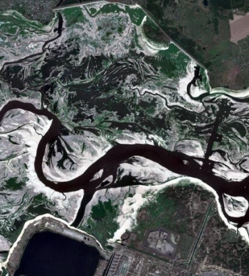 Територія Каховського водосховища стрімко покривається рослинністю 