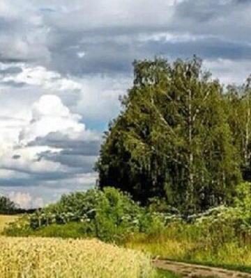 Завтра на Львівщині небо буде переважно ясним – прогноз погоди