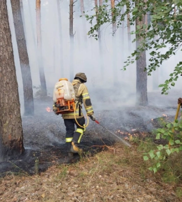 На Харківщині ворожий обстріл спричинив масштабну лісову пожежу. Вигоріло 5 га лісу