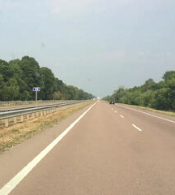 Постраждалих лосів знайшли на узбіччі під Полтавою