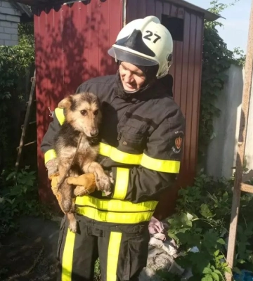 На порятунок песиків двічі виїздили рятувальники Дніпропетровщини