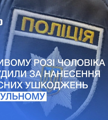 Ударил полицейского во время патрулирования: в Кривом Роге осудили мужчину
