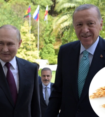 Зерновая сделка по-новому? Пойдет ли Украина на уступки «дорогим друзьям» Путину и Эрдогану