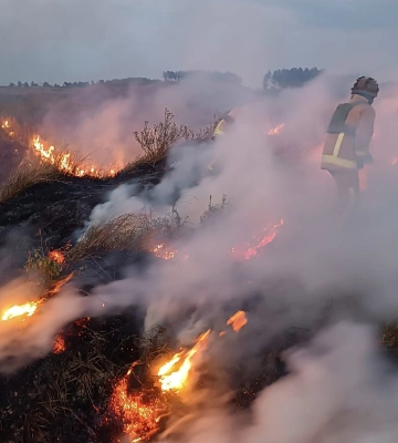 Двічі горіли трава і ліс на Харківщині внаслідок обстрілу – ДСНС