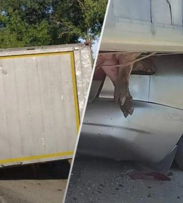 На Київщині фура з тваринами перекинулася на легківку: загинув один з водіїв
