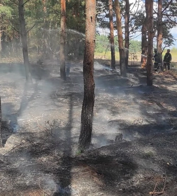 Ліс та сухостій горіли на Куп’янщині через ворожий артобстріл 