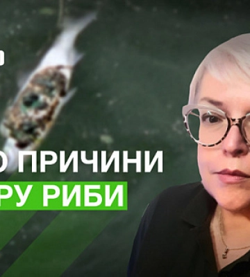 Чому в Миколаєві та на Одещині гине риба