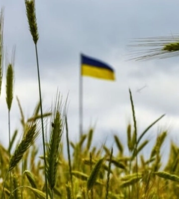 Румунія пообцяла подвоїти транзит українського зерна