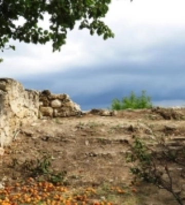 Прийнята програма екологічного відродження Бериславської громади