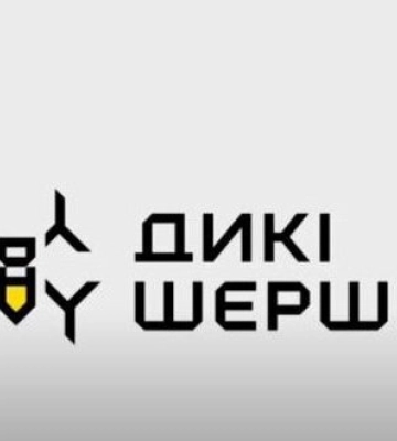 FPV-дроны "Дикие шершни", отрабатывают по вражеским окопам в режиме бомбер. ВИДЕО