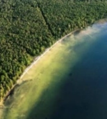 Сарни: у воді озера «Селянське» виявили яйця аскарид