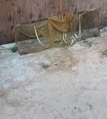 На Одещині браконьєри виловили креветку