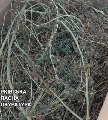 5 років за ґратами проведе житель Харківщини, який виготовляв наркотики