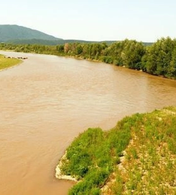 На Виноградівщині у природо-заповідному фонді чергові мільйонні збитки