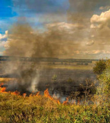 На Київщині надзвичайний рівень пожежної небезпеки утримається до 10 вересня