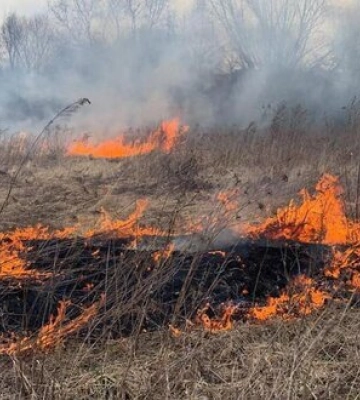 Вночі російські терористи вп’яте за тиждень атакували ударними безпілотниками Одещину, без постраждалих