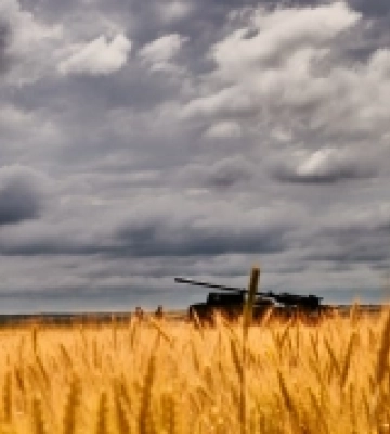 На Бахмутському напрямку Сили оборони України домагаються успіхів — репортаж із передових позицій (ВІДЕО)