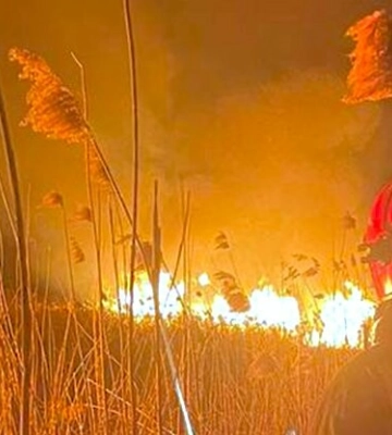 Вогнеборці Львівщини тричі виїжджали на ліквідацію пожеж сухостою