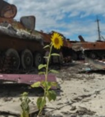 За рік сума збитків, завданих довкіллю України, зросла у 5 разів – міністр