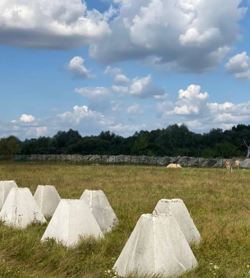 Показали протитанкові рови на кордоні Рівненщини з Білоруссю (ФОТО)