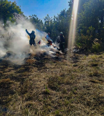 Рятувальники тричі ліквідовували загоряння сухої рослинності (відео)