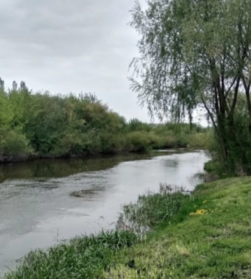 У Луцьку планують оголосити конкурс ідей облаштування набережної