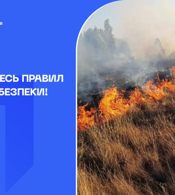 Рятувальники ліквідували понад 20 пожеж в екосистемах: правила пожежної безпеки