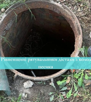 У селі біля Рівного з технологічного колодязя дістали собаку