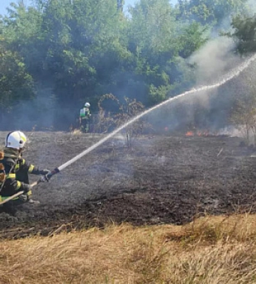 На Дніпропетровщині загасили 56 займань в екосистемах