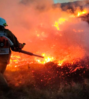 За минулу добу на Миколаївщині сталось 23 пожежі: горіли сухостої