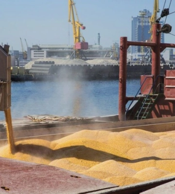 Зернова угода легалізувала піратство Росії у Чорному морі – експерт