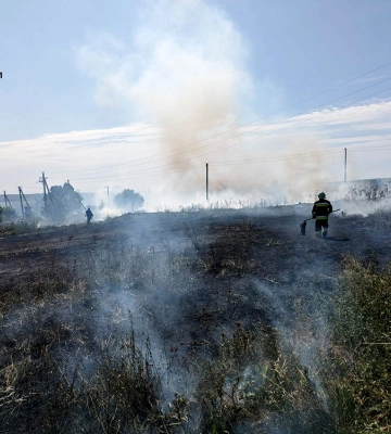 Палають екосистеми: на Миколаївщині вогнеборці ліквідували 25 пожеж на відкритих територіях 