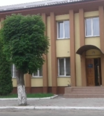Демидівський суд оштрафував жінку, донька якої купалася в річці без нагляду