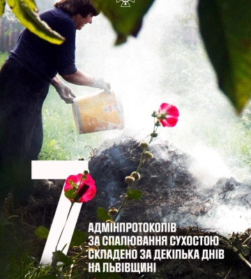 Карати вже почали: українці отримують великі штрафи за спалювання сухостою
