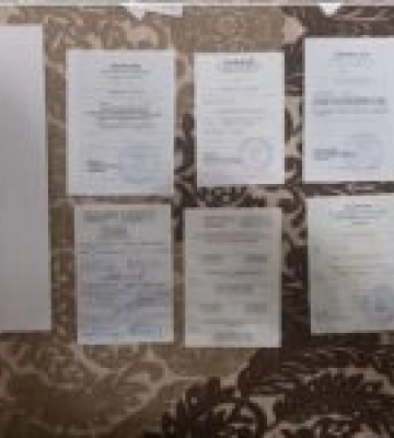 На Одещині СБУ затримала чиновників, які продавали «посвідчення моряка», що дозволяло ухилянтам виїжджати за кордон