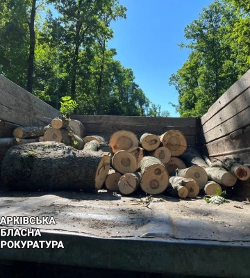 В Харькове нашли живым потерявшегося 90-летнего мужчину