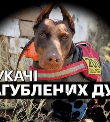 У Дніпровському будинку мистецтв проведуть безкоштовний показ фільму «Шукачі загублених душ»