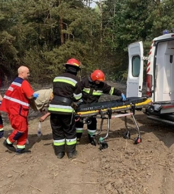 У пожежі загинула жінка: на Тернопільщині загорівся ліс та чагарники