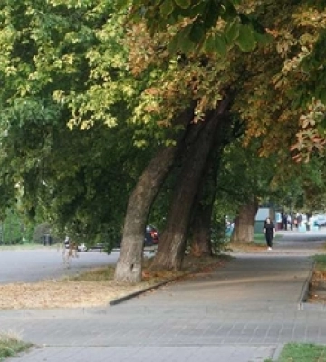 Хмарно з проясненням: погода у Луцьку на четвер, 14 вересня