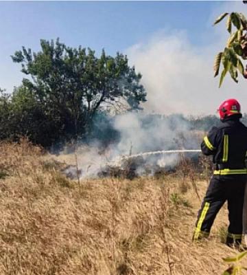 Вогнеборці Дніпропетровщини ліквідували 64 займання в екосистемах