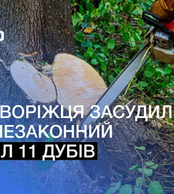 У Кривому Розі зіштовхнулись дві автівки