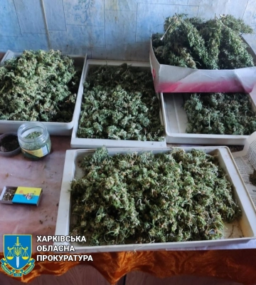«Семейный бизнес»: на Харьковщине мужчина, мать и сын продавали наркотики