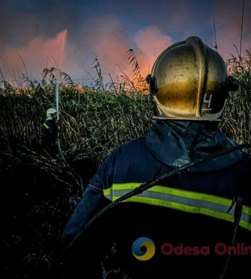 За сутки жители Одесской области выжгли более 20 га земли