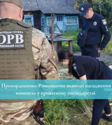 Прикордонники Рівненщини виявили насадження конопель у приватному господарстві
